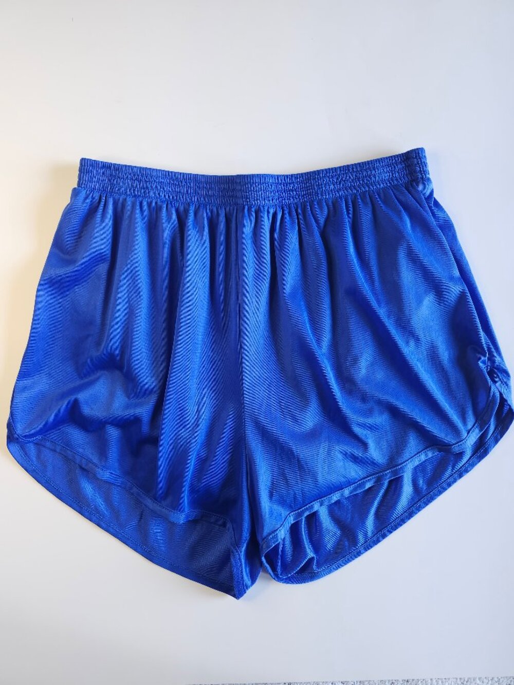 Vintage Royal Blue SOFFE Nylon Running Shorts